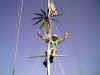 happysailor.jpg (64989 bytes)