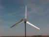 Check out the 7 foot Tri-Nado Elite....